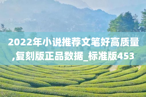 2022年小说推荐文笔好高质量,复刻版正品数据_标准版453