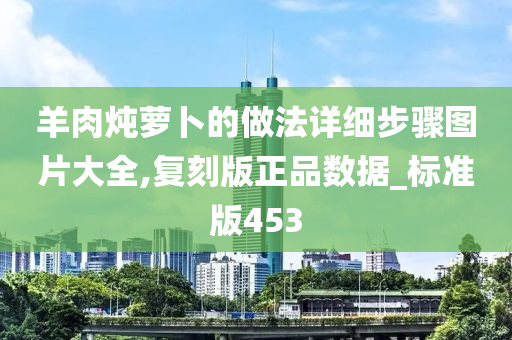 羊肉炖萝卜的做法详细步骤图片大全,复刻版正品数据_标准版453