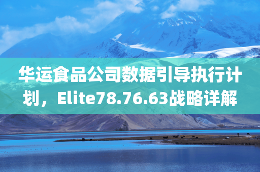 华运食品公司数据引导执行计划，Elite78.76.63战略详解