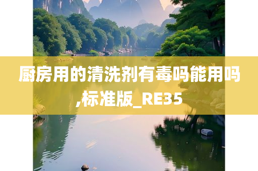 厨房用的清洗剂有毒吗能用吗,标准版_RE35