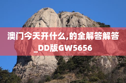 澳门今天开什么,的全解答解答_DD版GW5656