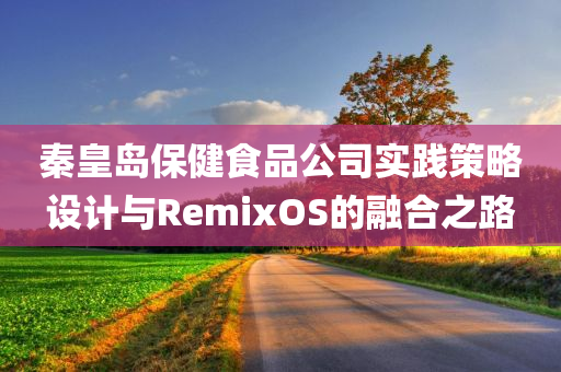 秦皇岛保健食品公司实践策略设计与RemixOS的融合之路