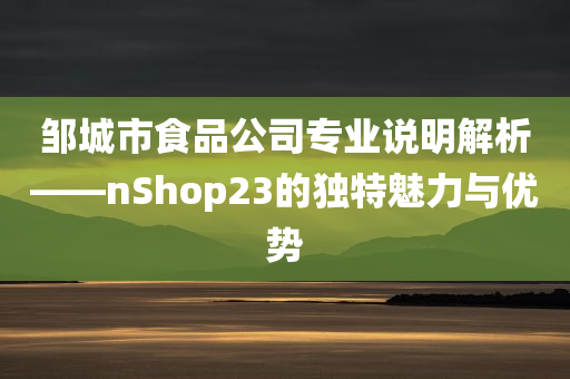 邹城市食品公司专业说明解析——nShop23的独特魅力与优势