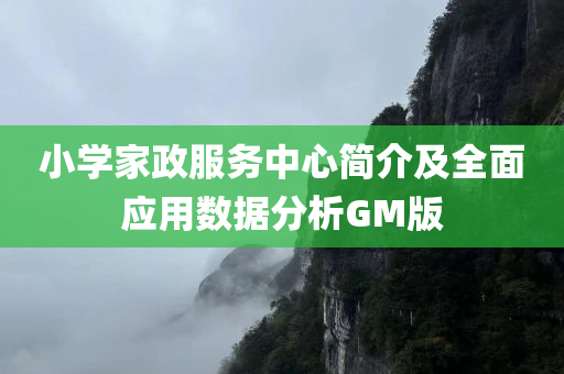 小学家政服务中心简介及全面应用数据分析GM版