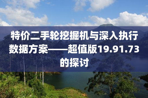 特价二手轮挖掘机与深入执行数据方案——超值版19.91.73的探讨