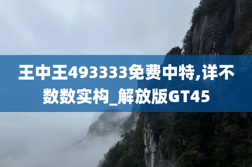 王中王493333免费中特,详不数数实构_解放版GT45