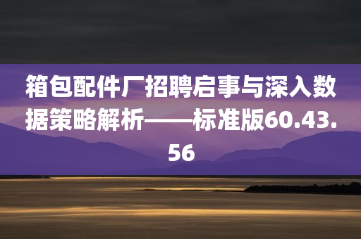 箱包配件厂招聘启事与深入数据策略解析——标准版60.43.56