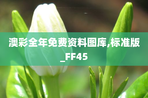 澳彩全年免费资料图库,标准版_FF45