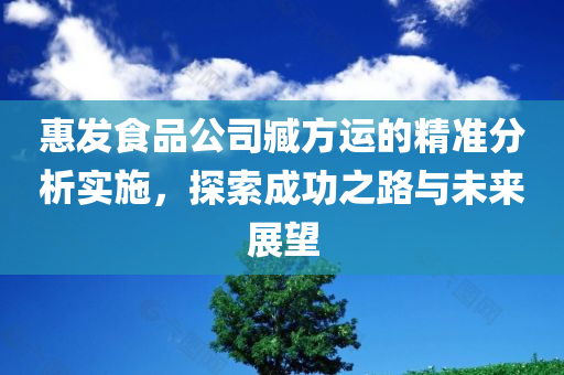 惠发食品公司臧方运的精准分析实施，探索成功之路与未来展望