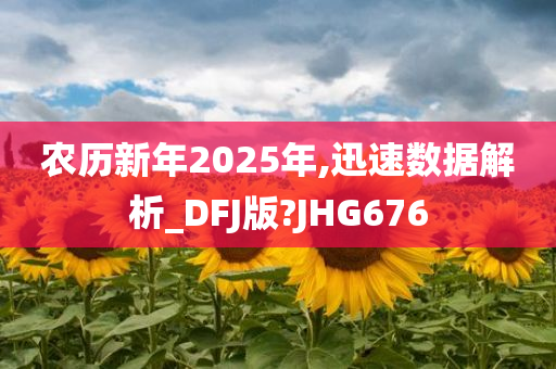 农历新年2025年,迅速数据解析_DFJ版?JHG676