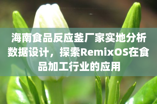 海南食品反应釜厂家实地分析数据设计，探索RemixOS在食品加工行业的应用