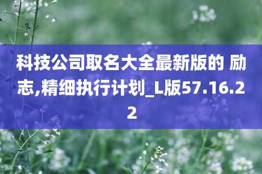 科技公司取名大全最新版的 励志,精细执行计划_L版57.16.22