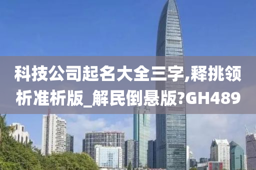 科技公司起名大全三字,释挑领析准析版_解民倒悬版?GH489