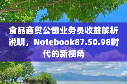 食品商贸公司业务员收益解析说明，Notebook87.50.98时代的新视角