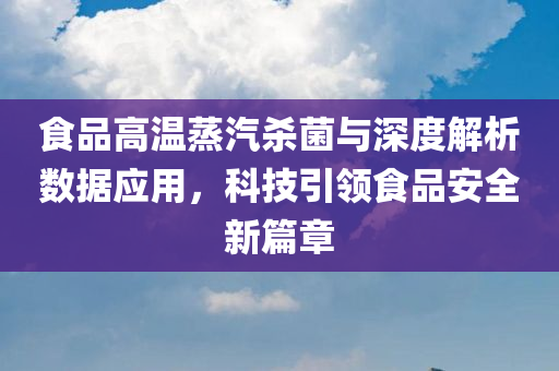 食品高温蒸汽杀菌与深度解析数据应用，科技引领食品安全新篇章