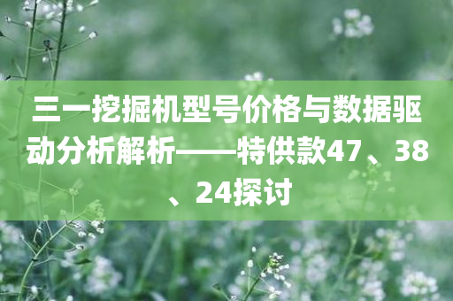 三一挖掘机型号价格与数据驱动分析解析——特供款47、38、24探讨