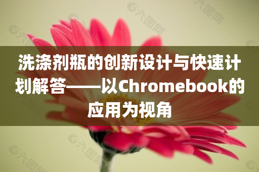 洗涤剂瓶的创新设计与快速计划解答——以Chromebook的应用为视角