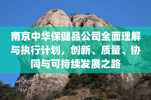 南京中华保健品公司全面理解与执行计划，创新、质量、协同与可持续发展之路