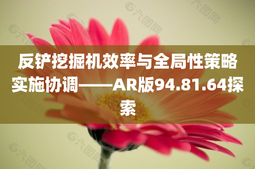 反铲挖掘机效率与全局性策略实施协调——AR版94.81.64探索