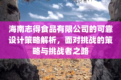 海南志得食品有限公司的可靠设计策略解析，面对挑战的策略与挑战者之路