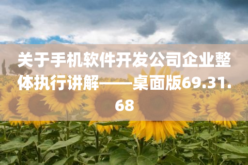 关于手机软件开发公司企业整体执行讲解——桌面版69.31.68