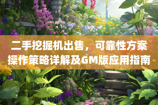 二手挖掘机出售，可靠性方案操作策略详解及GM版应用指南