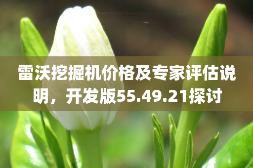 雷沃挖掘机价格及专家评估说明，开发版55.49.21探讨