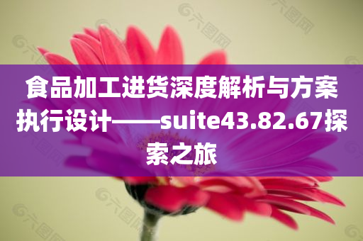 食品加工进货深度解析与方案执行设计——suite43.82.67探索之旅