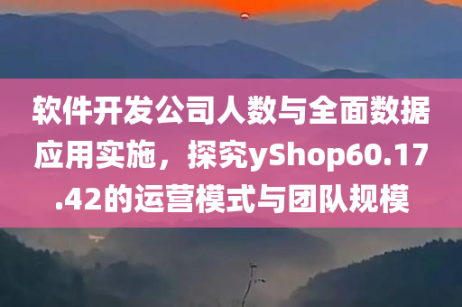 软件开发公司人数与全面数据应用实施，探究yShop60.17.42的运营模式与团队规模