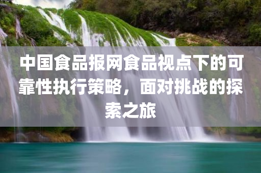 中国食品报网食品视点下的可靠性执行策略，面对挑战的探索之旅