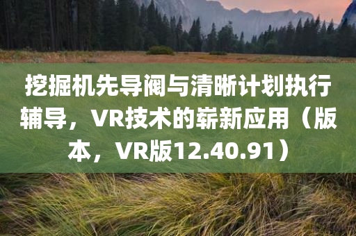 挖掘机先导阀与清晰计划执行辅导，VR技术的崭新应用（版本，VR版12.40.91）