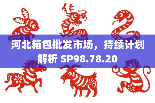 河北箱包批发市场，持续计划解析 SP98.78.20