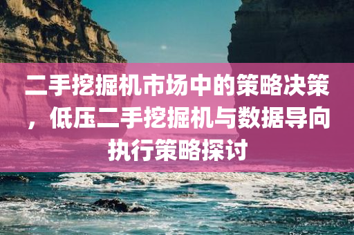 二手挖掘机市场中的策略决策，低压二手挖掘机与数据导向执行策略探讨