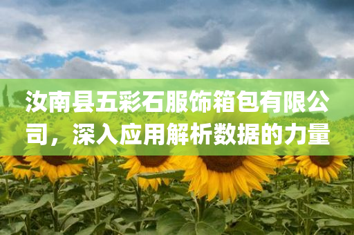 汝南县五彩石服饰箱包有限公司，深入应用解析数据的力量