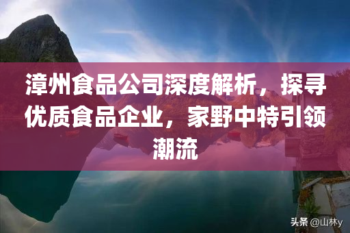 漳州食品公司深度解析，探寻优质食品企业，家野中特引领潮流