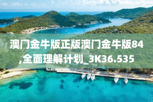 澳门金牛版正版澳门金牛版84,全面理解计划_3K36.535