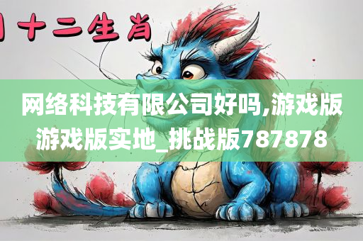 网络科技有限公司好吗,游戏版游戏版实地_挑战版787878