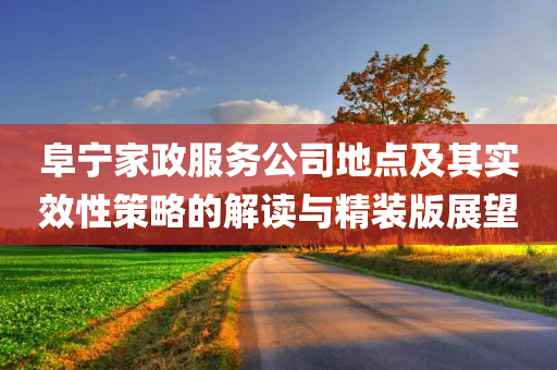 阜宁家政服务公司地点及其实效性策略的解读与精装版展望