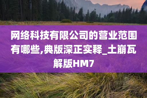 网络科技有限公司的营业范围有哪些,典版深正实释_土崩瓦解版HM7