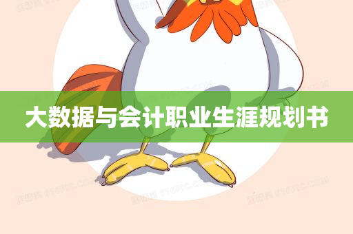 大数据与会计职业生涯规划书