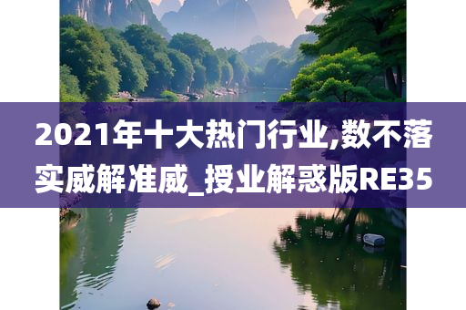 2021年十大热门行业,数不落实威解准威_授业解惑版RE35