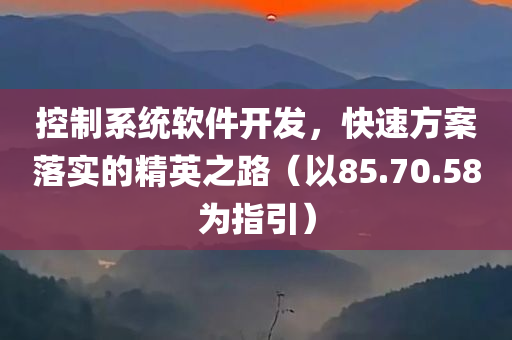 控制系统软件开发，快速方案落实的精英之路（以85.70.58为指引）