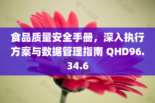 食品质量安全手册，深入执行方案与数据管理指南 QHD96.34.6