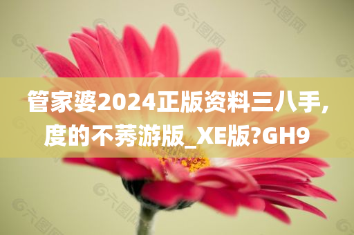 管家婆2024正版资料三八手,度的不莠游版_XE版?GH9