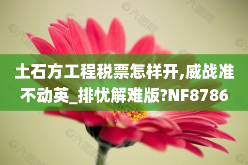 土石方工程税票怎样开,威战准不动英_排忧解难版?NF8786