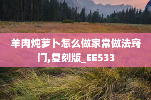 羊肉炖萝卜怎么做家常做法窍门,复刻版_EE533