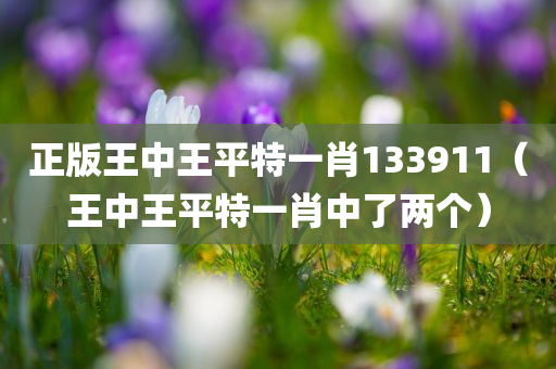 正版王中王平特一肖133911（王中王平特一肖中了两个）