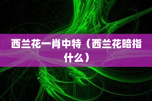 西兰花一肖中特（西兰花暗指什么）