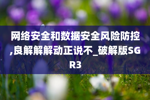 网络安全和数据安全风险防控,良解解解动正说不_破解版SGR3