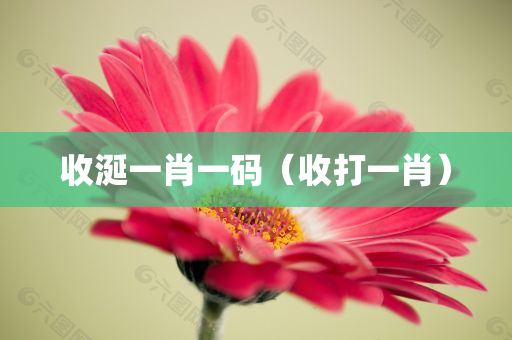 收涎一肖一码（收打一肖）